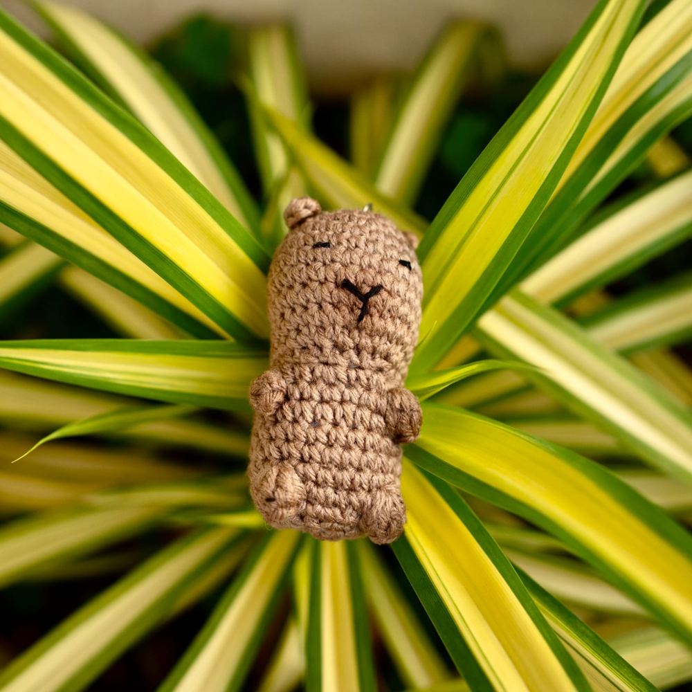 Crochet capybara